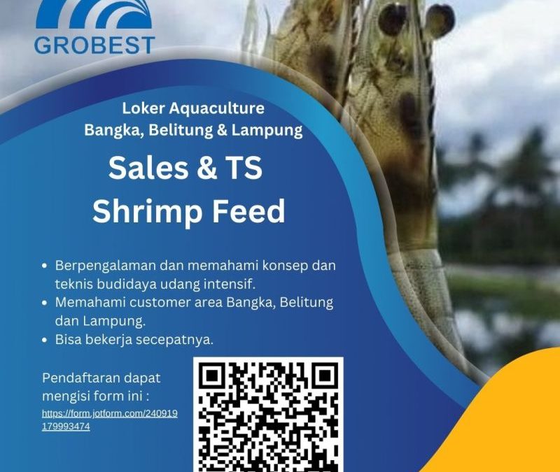 Lowongan Pekerjaan Sales & TS Shrimp Feed Grobest